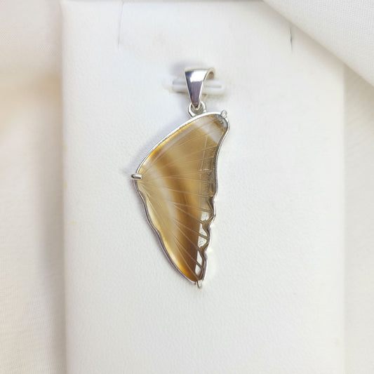 Dije Mariposa Geoda